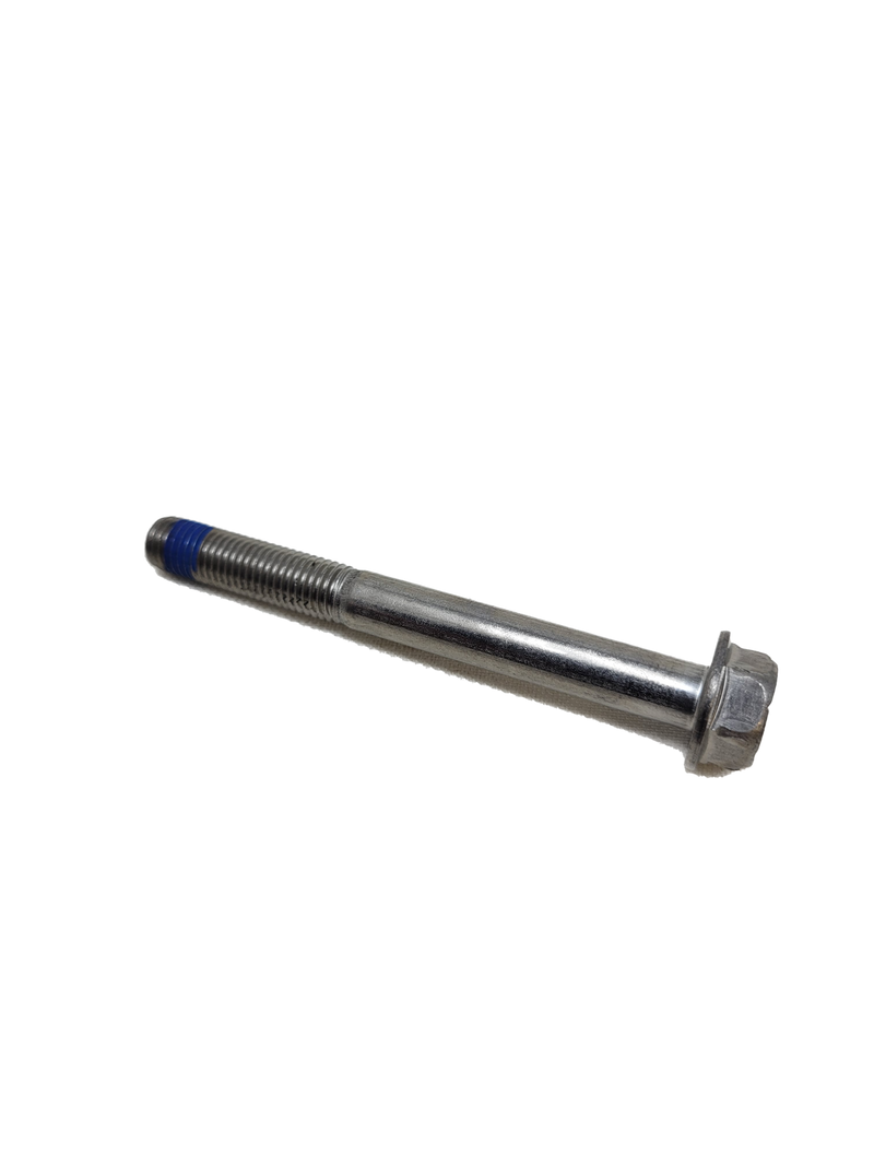 Hex Head Bolt Flange 3" 1543P