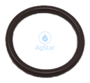 O-Ring Viton